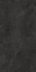 Porcelain Tile - Lamarca Nero Venato 24 x 48