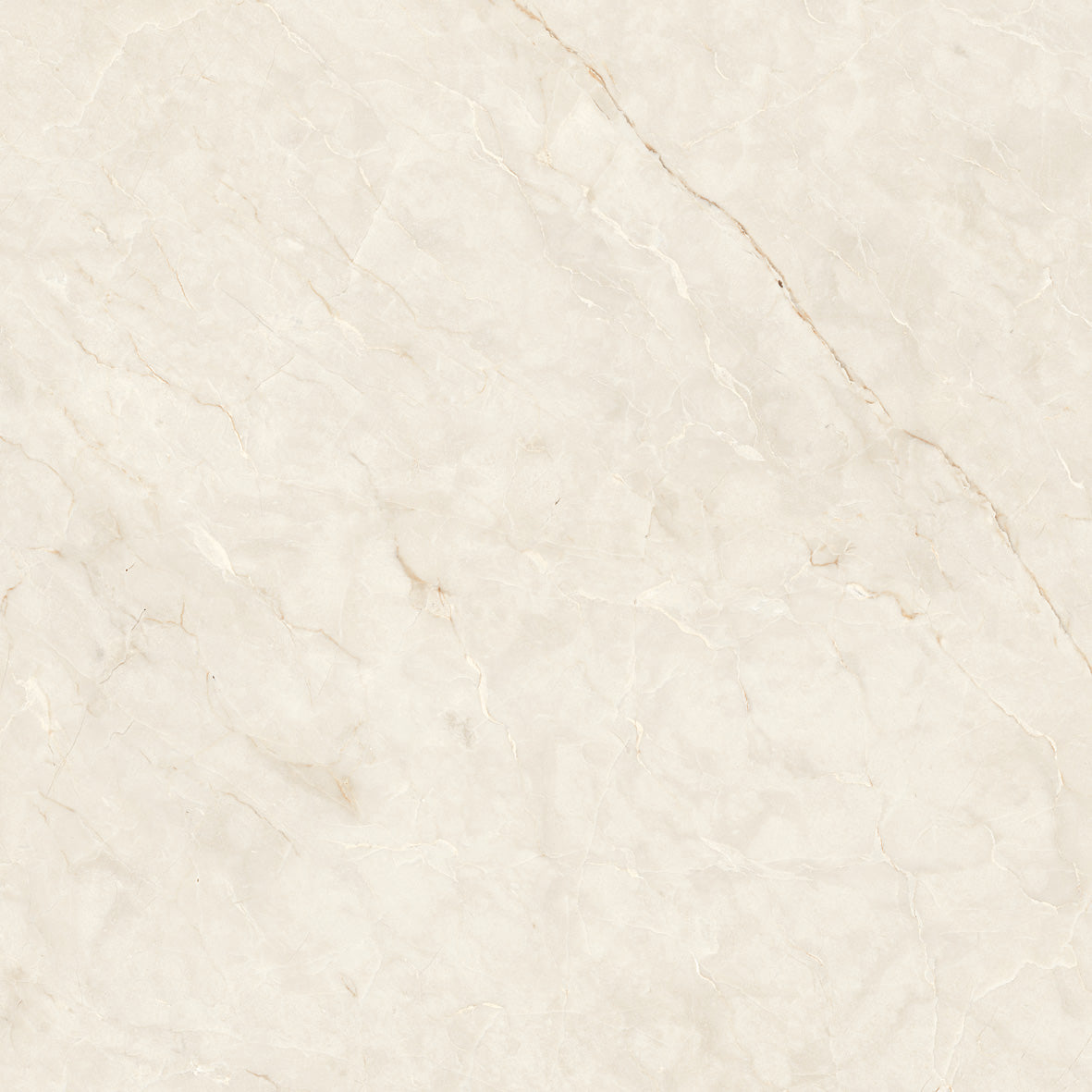 Porcelain Tile - Carving Natural Carvista Bianco 24" X 24"