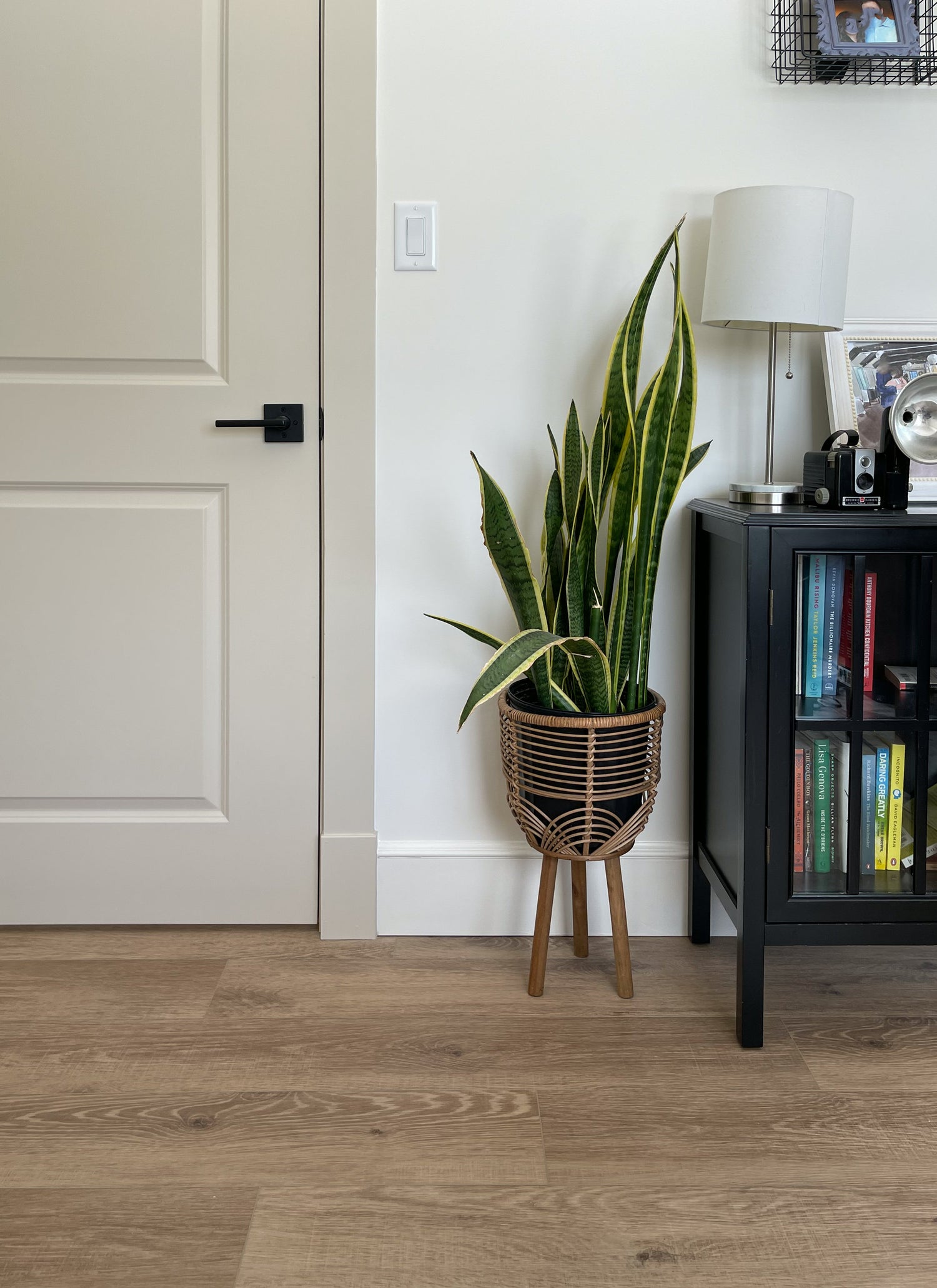 Plinth & Corner Blocks
