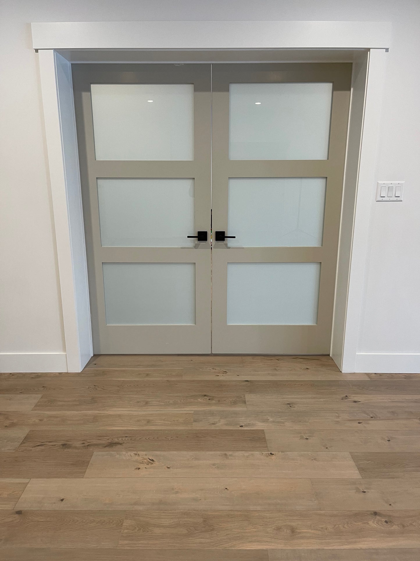 3 Equal Lite Frosted Glass Solid French Door
