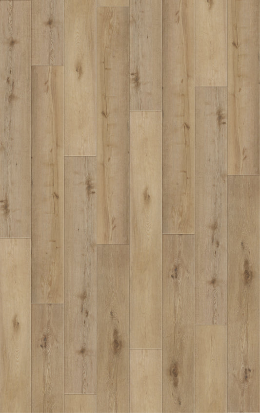 Luxury Vinyl Plank - Collection Avondale - Belara Isle