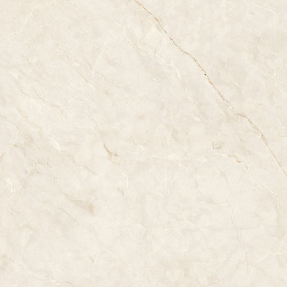 Porcelain Tile -  Carving Natural Carvista Bianco 24" X 24"