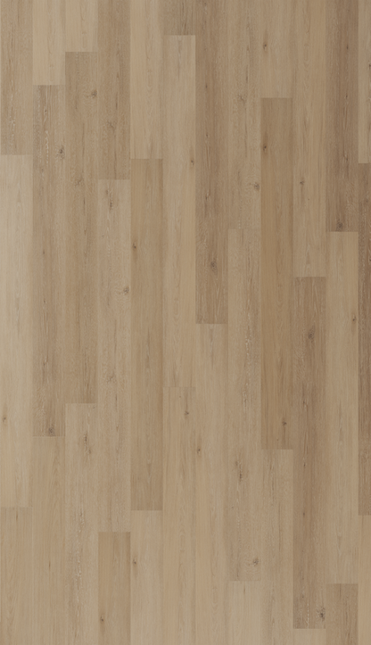 Luxury Vinyl Plank - Mannington Adura Rigid Regency Oak Polished Platinum