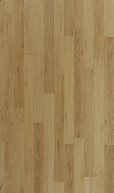 Luxury Vinyl Plank - Mannington Adura Rigid Regency Oak Gilded Gold
