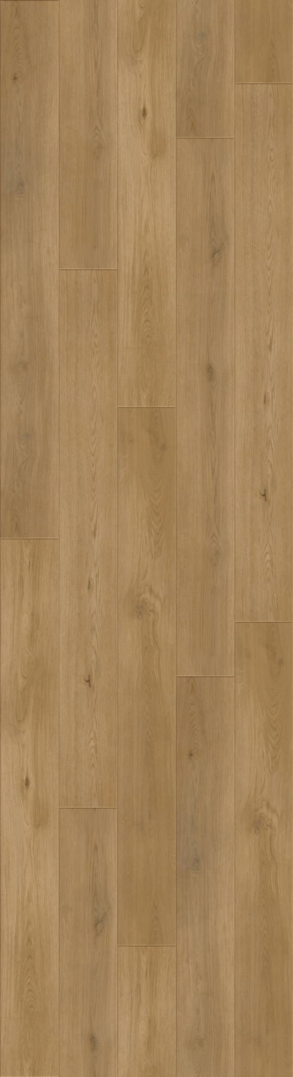 Luxury Vinyl Plank - Collection Bravo - Antler