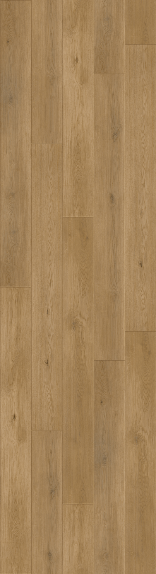 Luxury Vinyl Plank - Collection Bravo - Antler