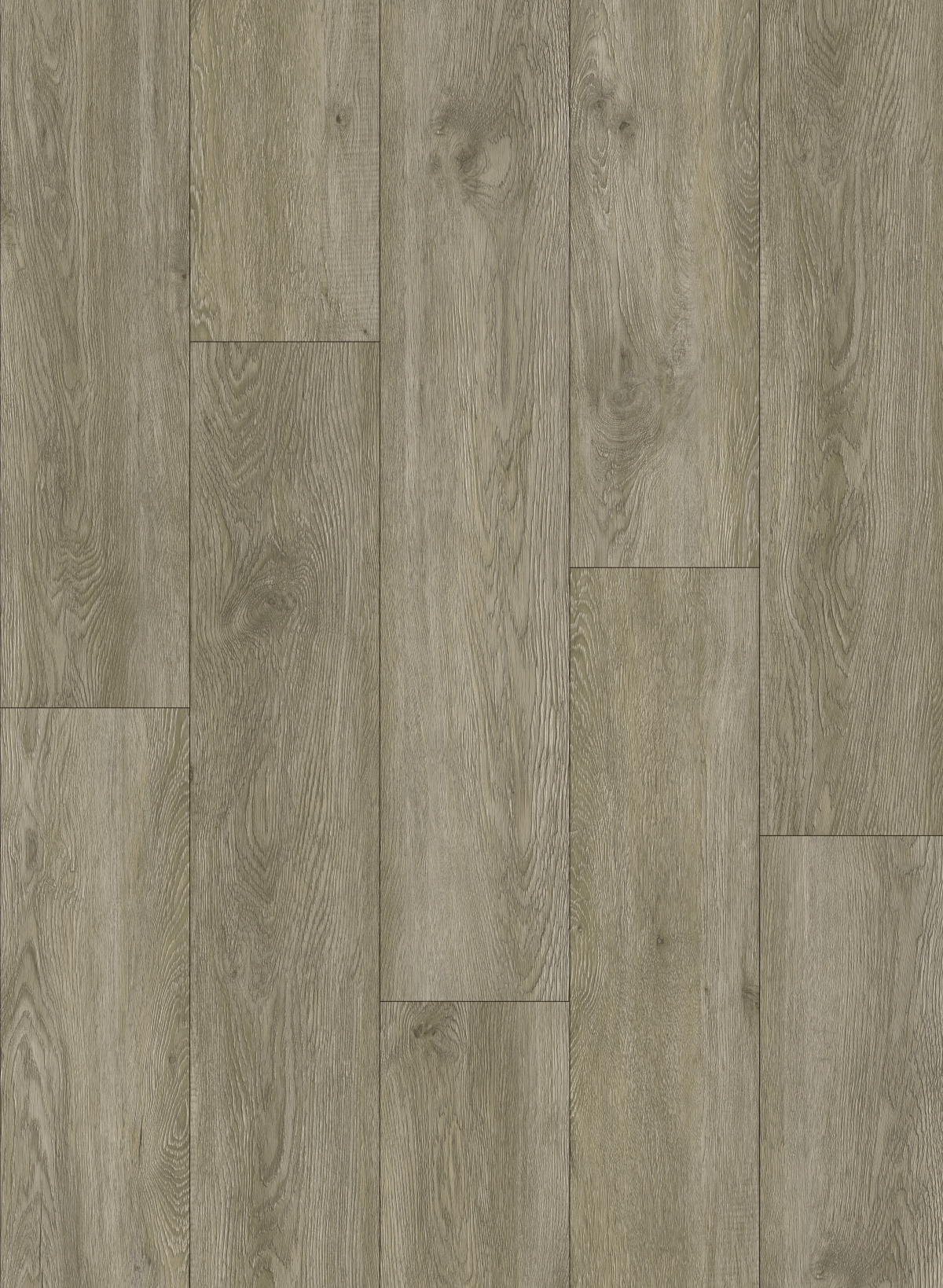 Glue Down Vinyl - Collection Everest - Cedar