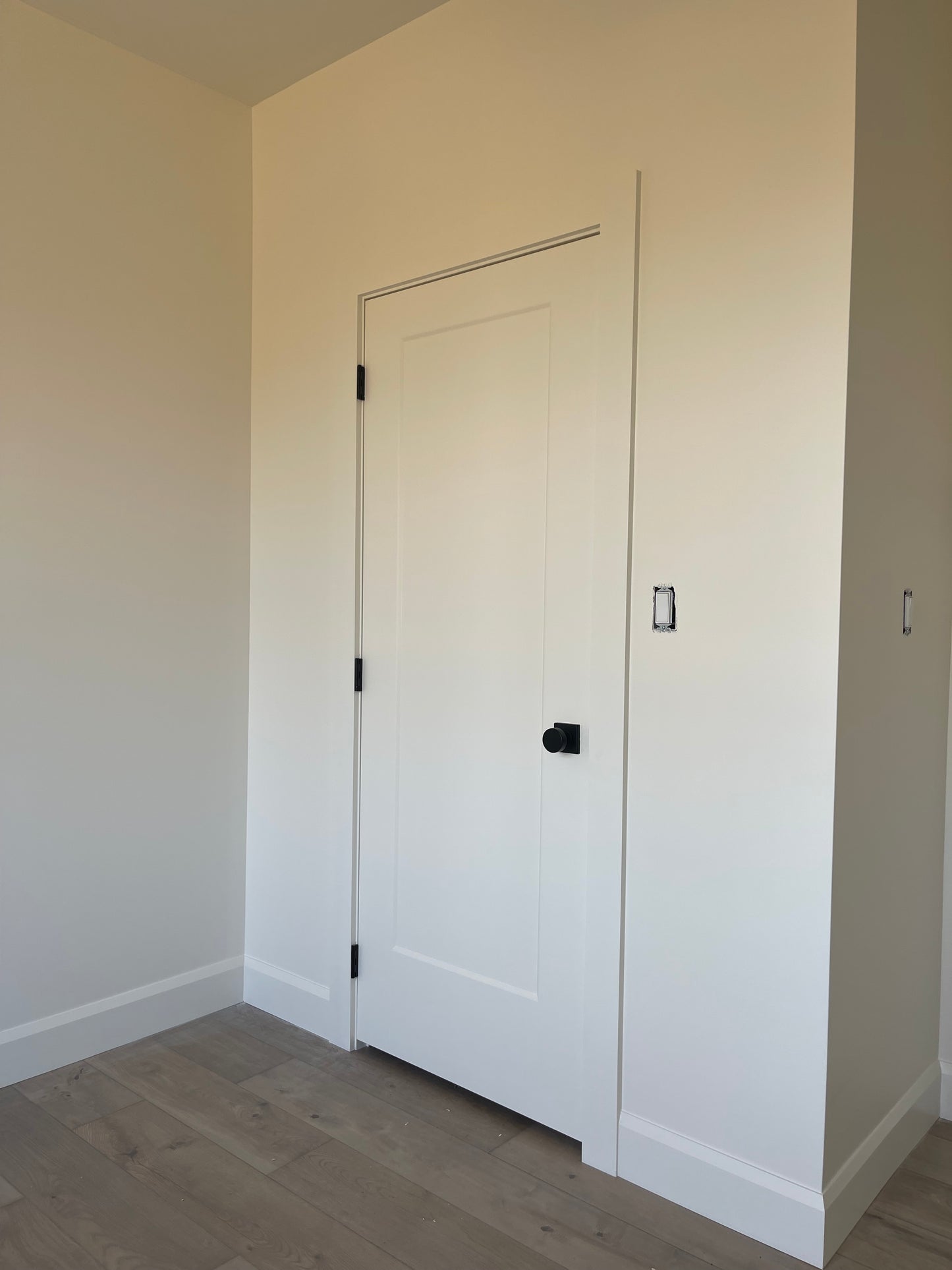 Wellington Hollow Core 1 Panel Smooth